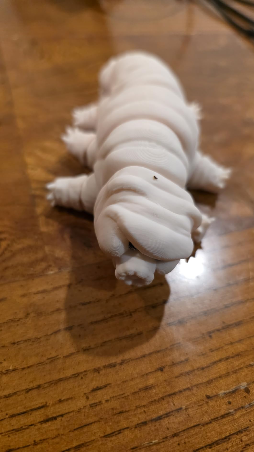 3D Printed Animals Tardigrade - Articulated Water Bear Toys, Weird Stuff, Flexible Animals Toy Statue, Movable Joints, Desk Home Office Decor, Birthday Easter customer photo 1