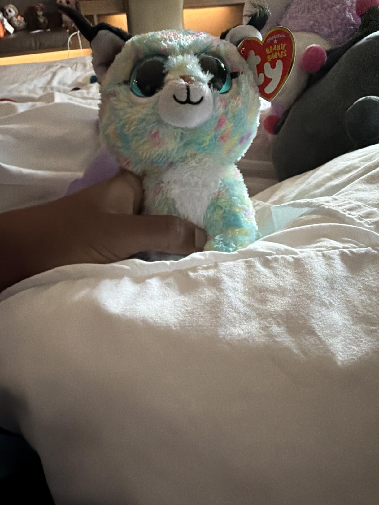 Ty Beanie Boo Lynx the Blue Bobcat - 6