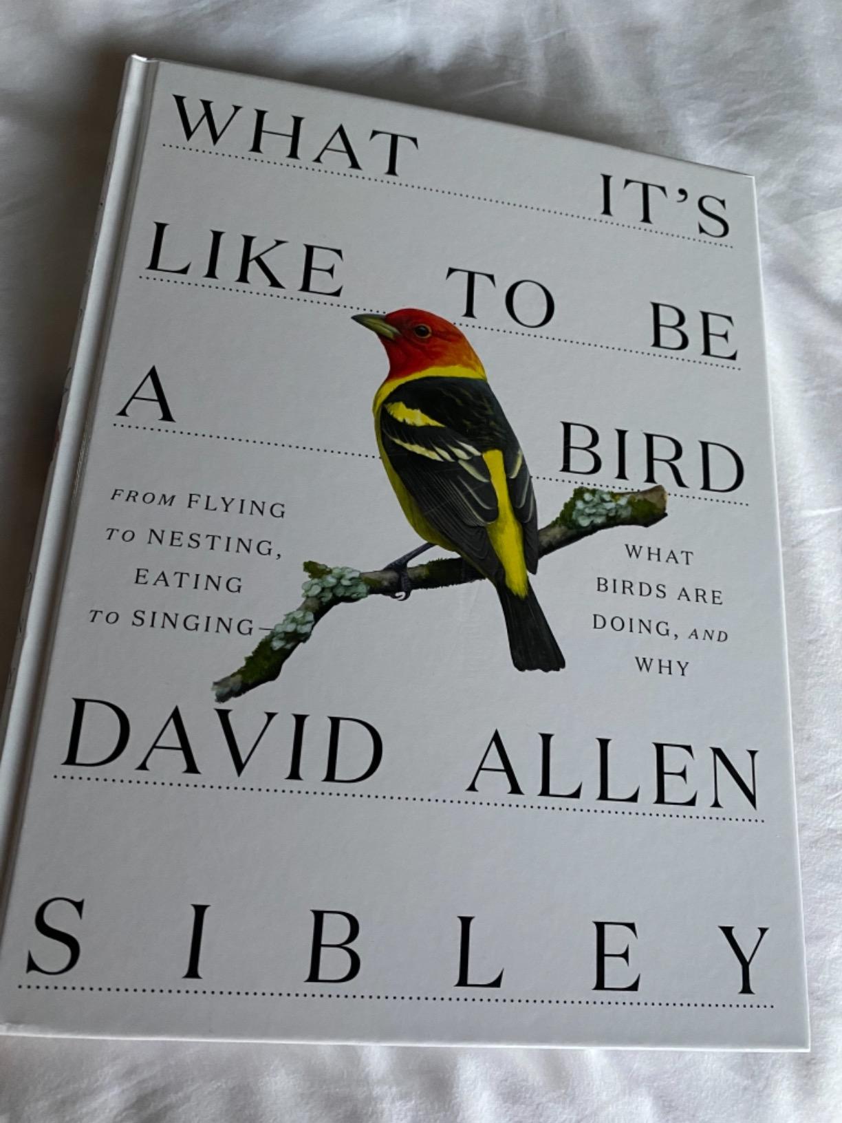 What It's Like to Be a Bird: From Flying to Nesting, Eating to Singing--What Birds Are Doing, and Why (Sibley Guides) customer photo 1