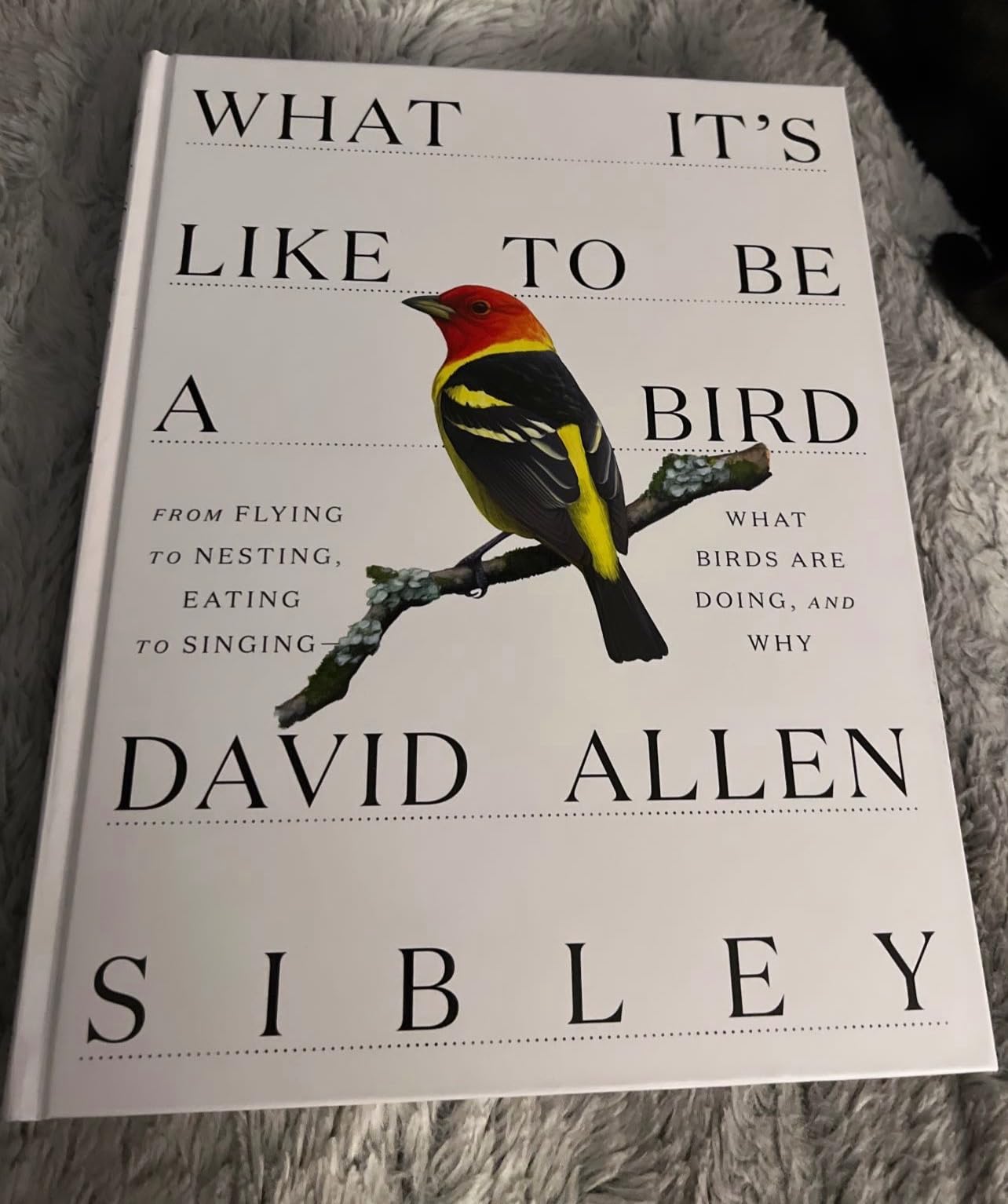 What It's Like to Be a Bird: From Flying to Nesting, Eating to Singing--What Birds Are Doing, and Why (Sibley Guides) customer photo 2