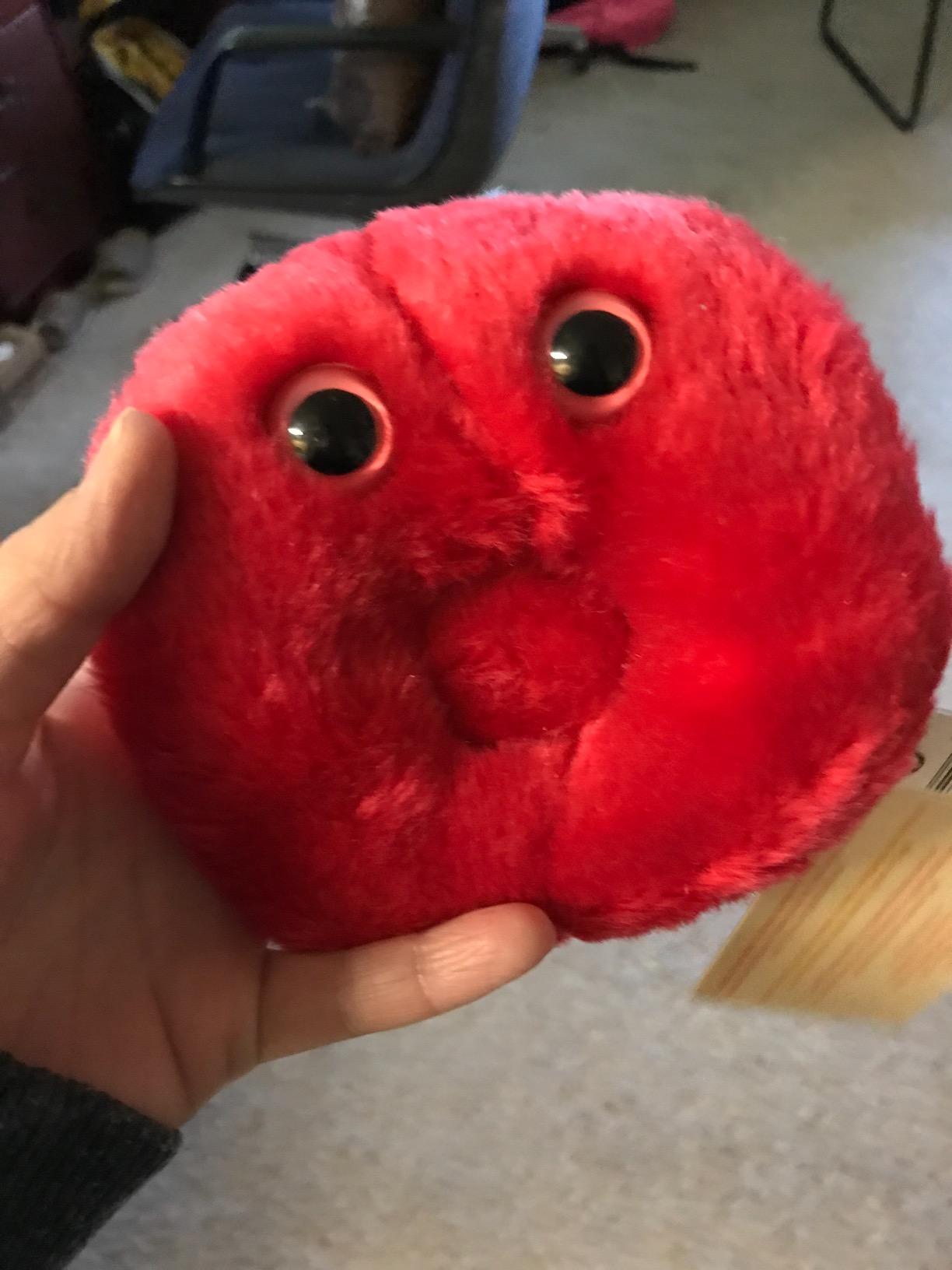 GIANTmicrobes Red Blood Cell Plush customer photo 2