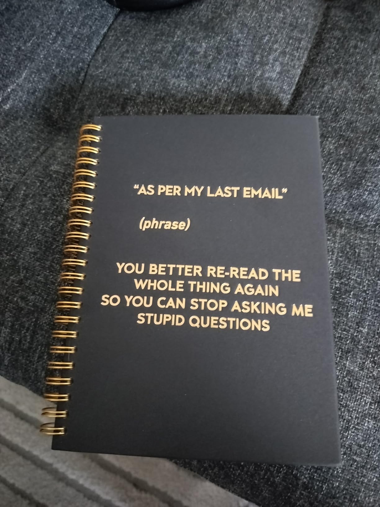Nice Story Now Show Me The Data Black Golden Spiral Blank Notebook, Funny Saying Sarcastic Gifts for Data Analyst Data Scientist, Birthday Thank You Gifts for Colleague Coding Geek Programmer customer photo 1