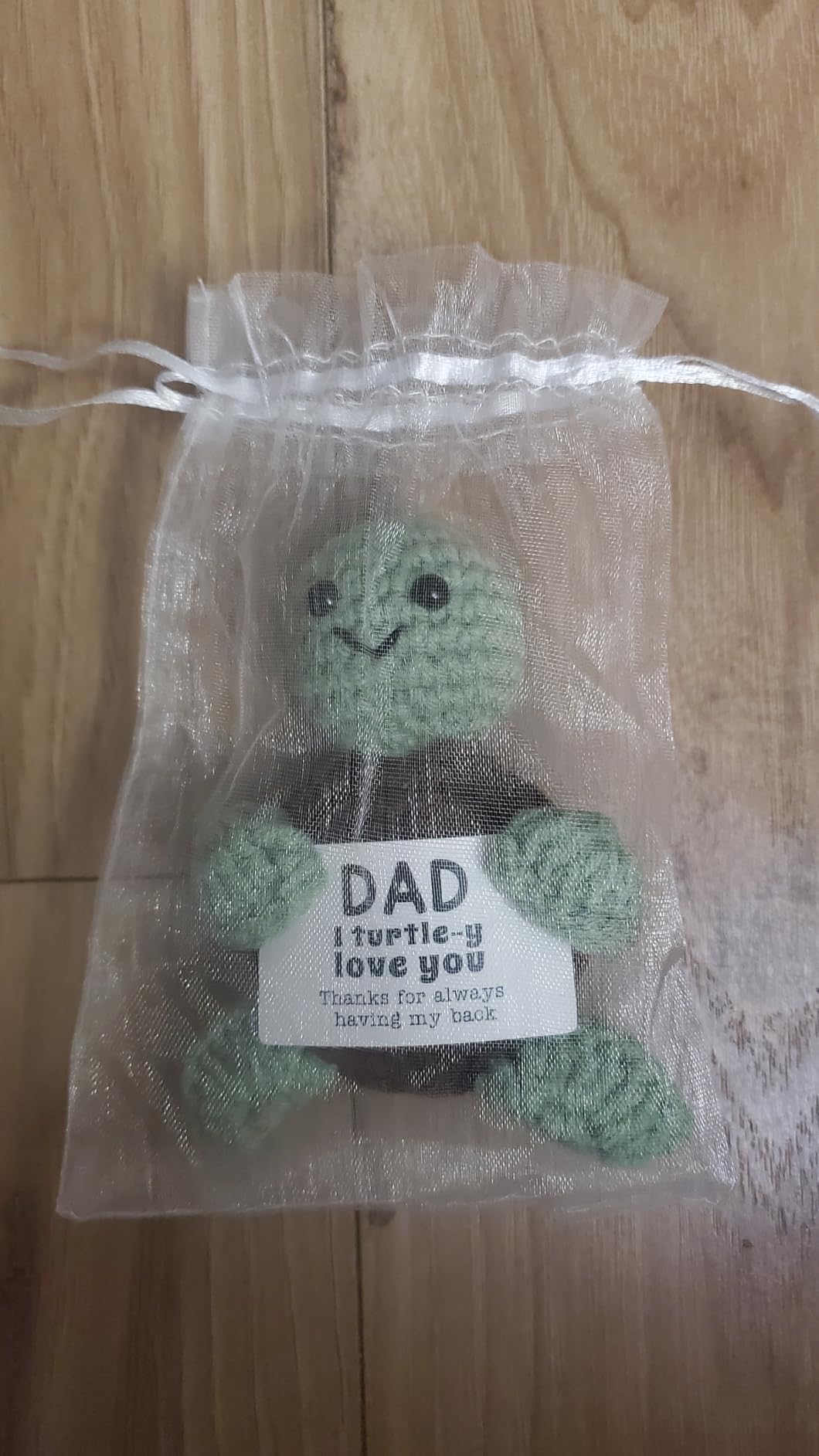 4THFARMES Mini Funny Turtle Graduation Gift for Her Him College High Middle Elementary School Preschool Kindergarten Graduation Gifts, 2026 Graduates Handmade Emotional Positive Crochet Turtle customer photo 1